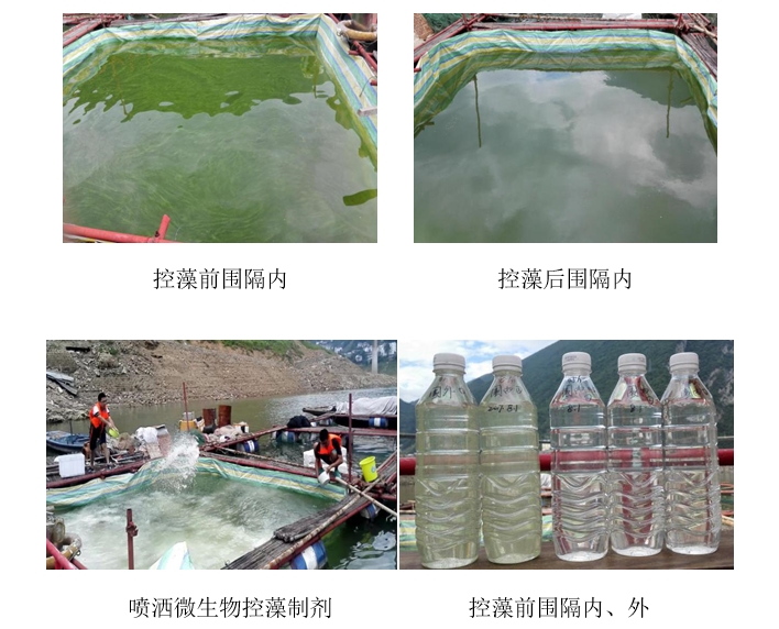 湖南利尔康,生物酶制剂研发,生物酶制剂产品,利尔康生物酶,湖南食品添加剂